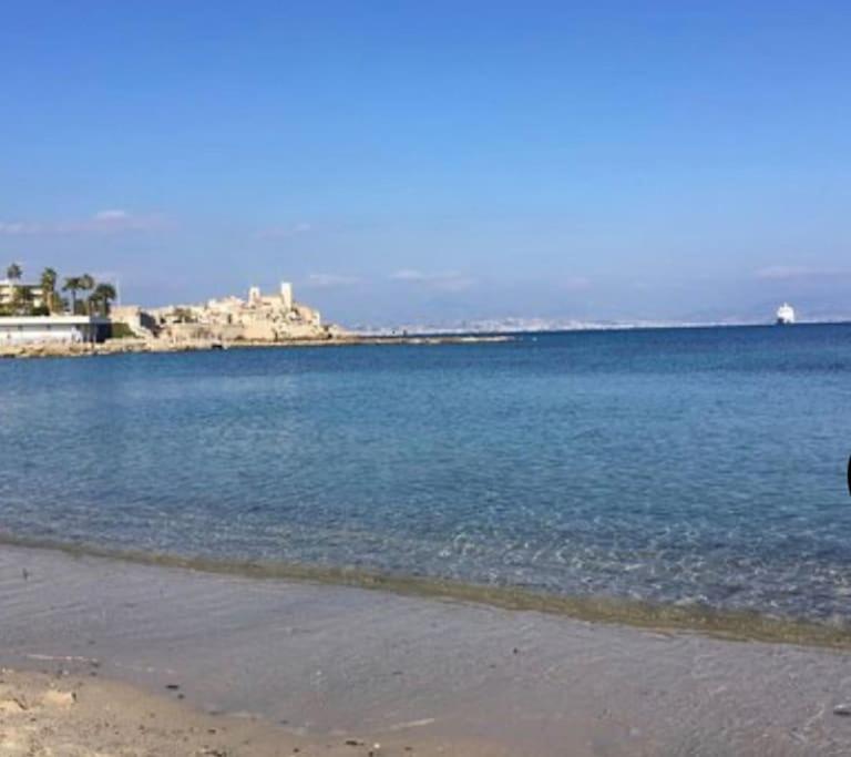 Superbe Avec Terrasse Au Cap D'antibes Appartement