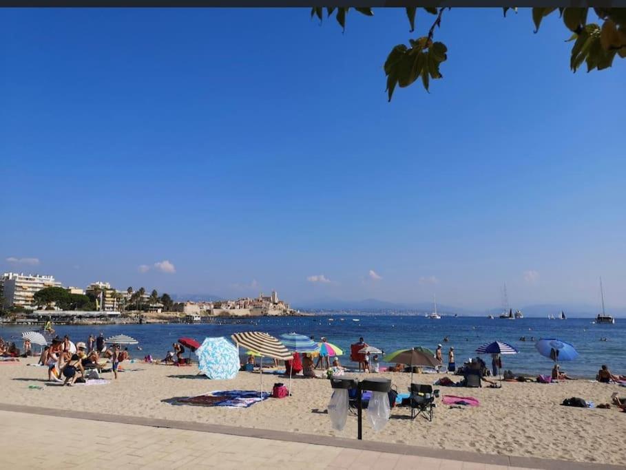 Apartment Superbe Avec Terrasse Au Cap D'antibes